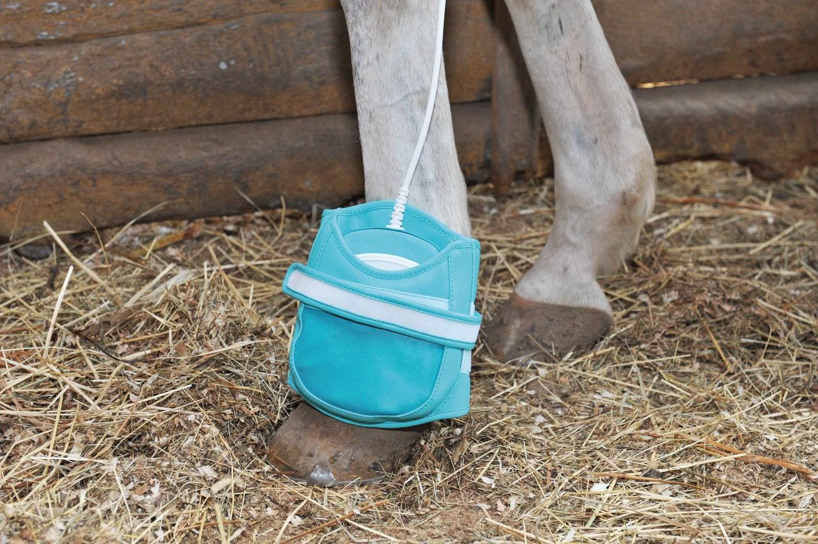 magnétothérapie ( test ) (copie)